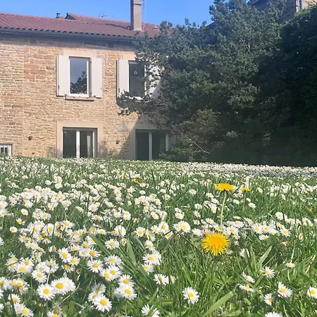 Le Cerf - House With View And Swimming Pool Villa *